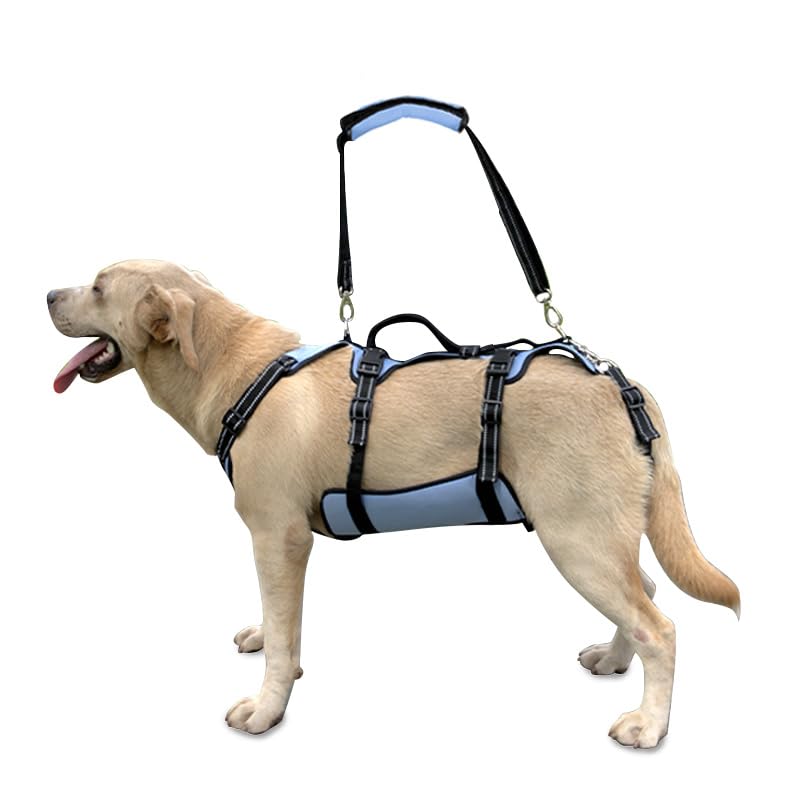Coodeo Dog Lift Harness front view illustrating snug fit for easy lifting.