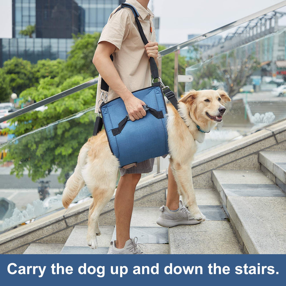 Coodeo dog lift harness provides full-body support during transfers