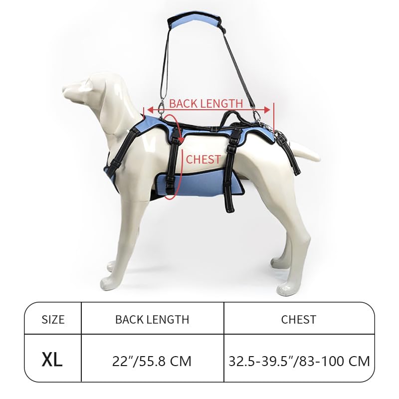 Coodeo Dog Lift Harness full-body-support image conveys comprehensive protection.