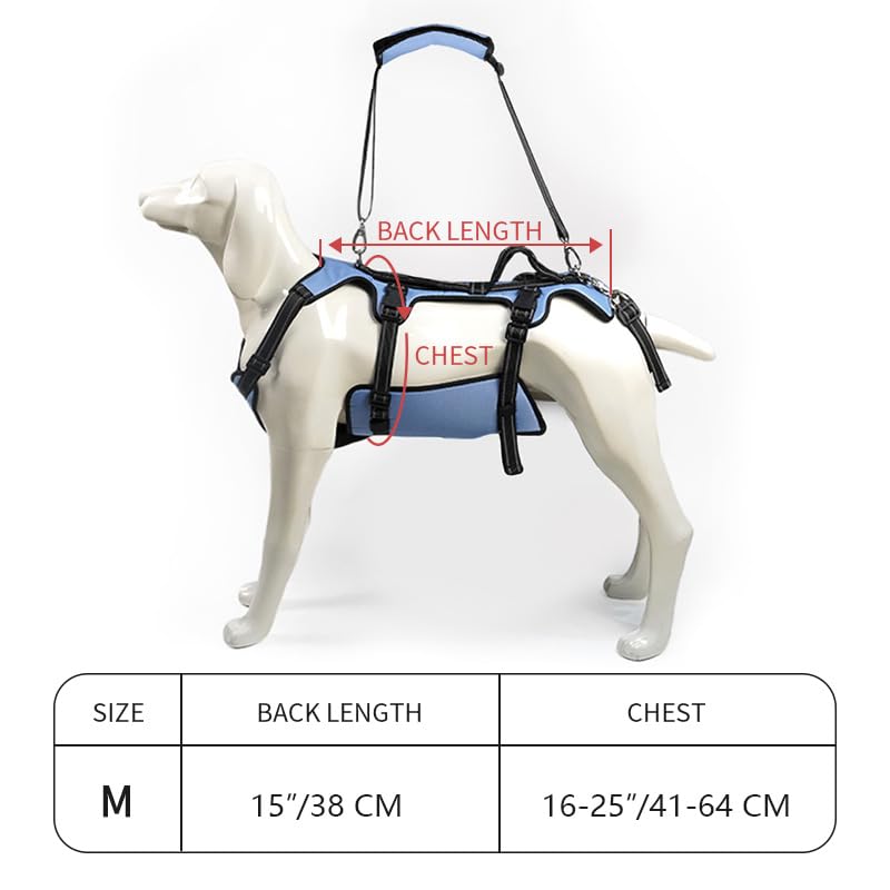 Coodeo Dog Lift Harness iron leash ring for quick attachment.