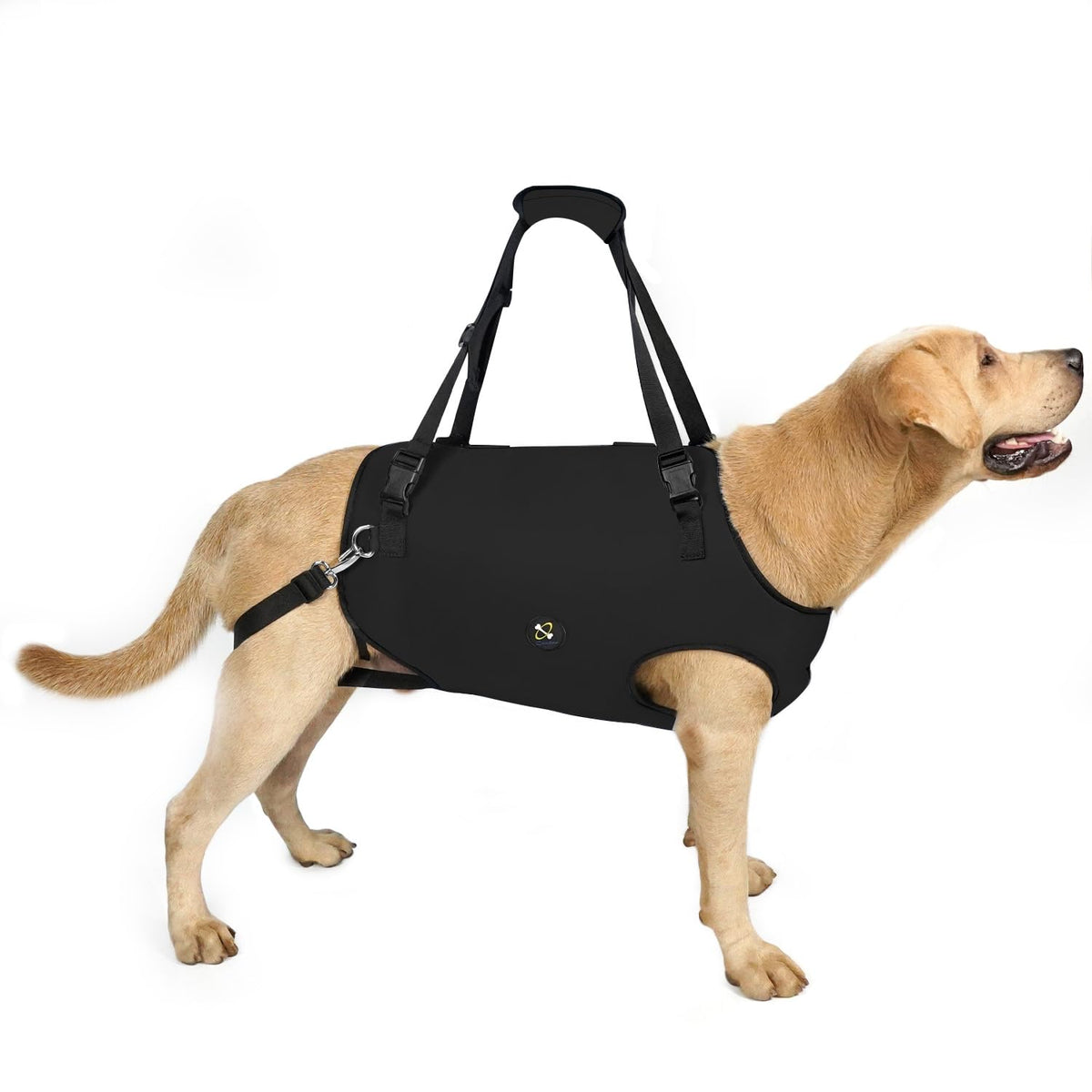 Coodeo dog lift harness on dog for stable movement during walks.