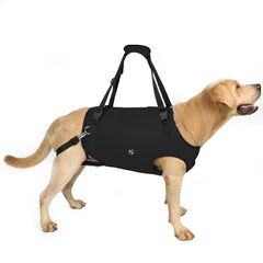 Coodeo dog lift harness on dog for stable movement during walks.