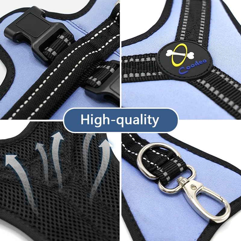 Coodeo Dog Lift Harness recovery-sling demonstrates rehabilitative aid for aging dogs.