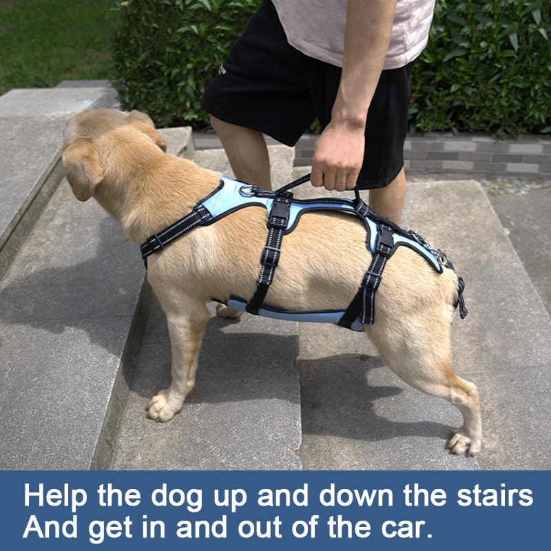 Coodeo Dog Lift Harness side profile showing ergonomic design and gentle assistance.