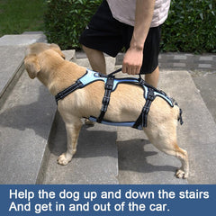 Coodeo Dog Lift Harness side profile showing ergonomic design and gentle assistance.