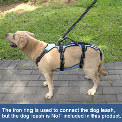 Coodeo Dog Lift Harness stairs-transfer angle demonstrates safer stair climbs.