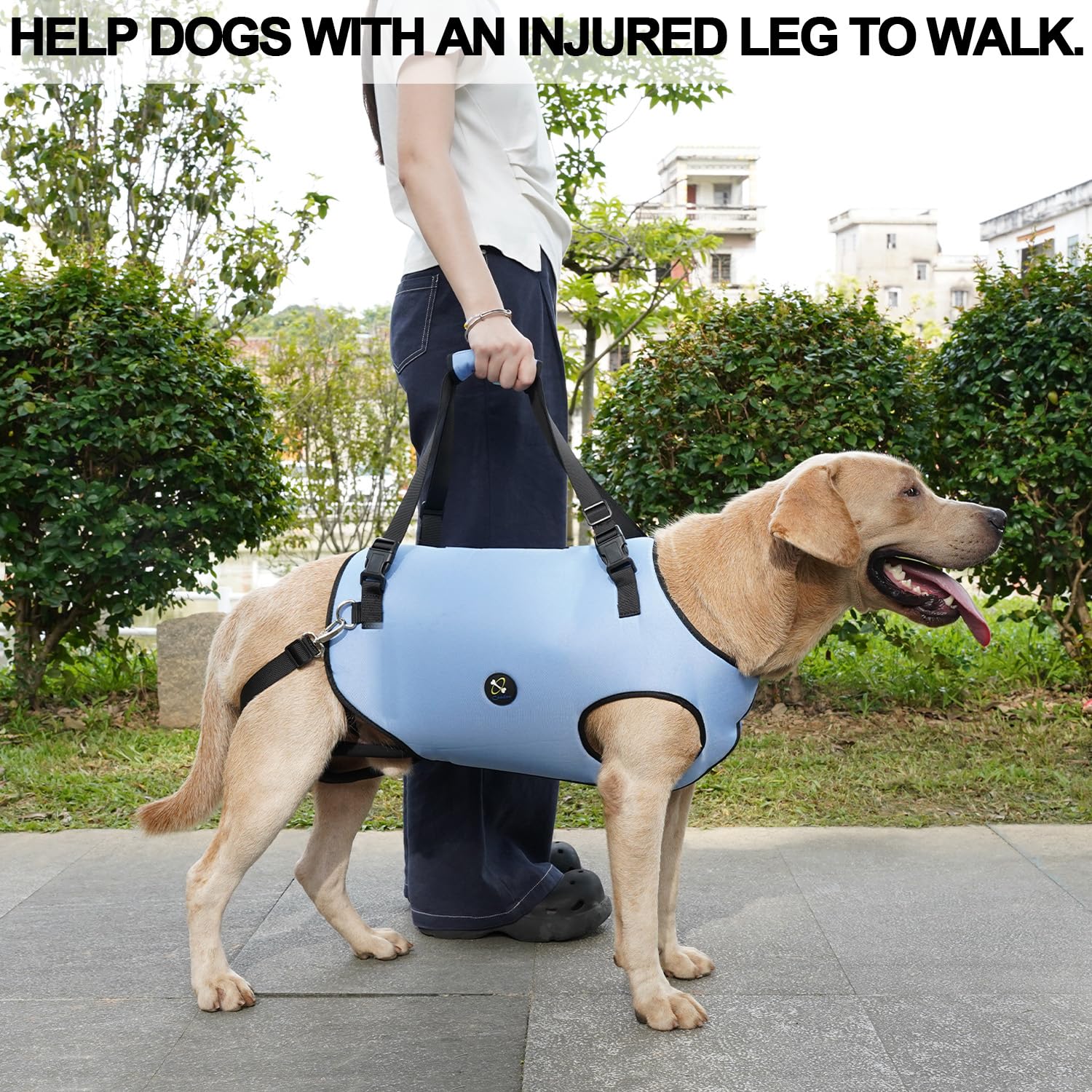 Coodeo dog lift harness washable design simplifies cleaning.