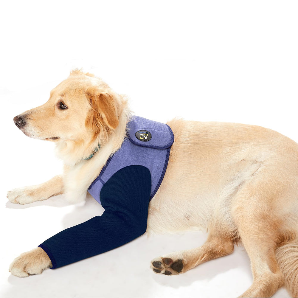 Coodeo dog recovery sleeve on a purple 2XL dog prevents licking wounds.