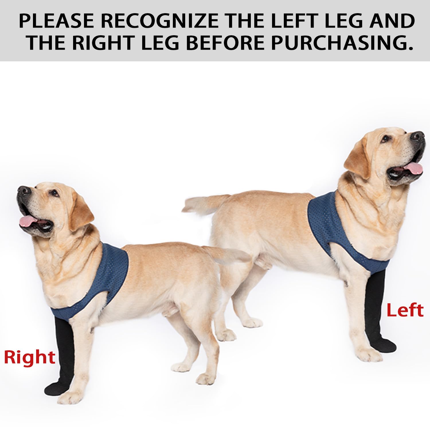 COODEO waterproof sleeve shoe protects wounds while dogs lounge at home