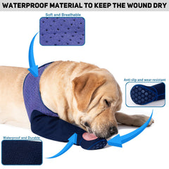 Coodeo dog socks with non-slip bottoms provide stable traction on slick floors.