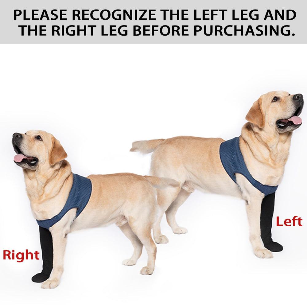 COODEO dog socks designed for post-surgery recovery with secure fit