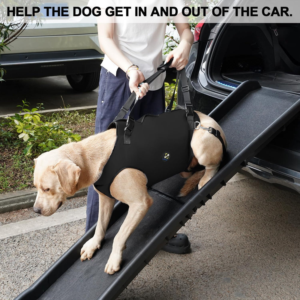 Coodeo dog walking with harness helps stairs and mobility.