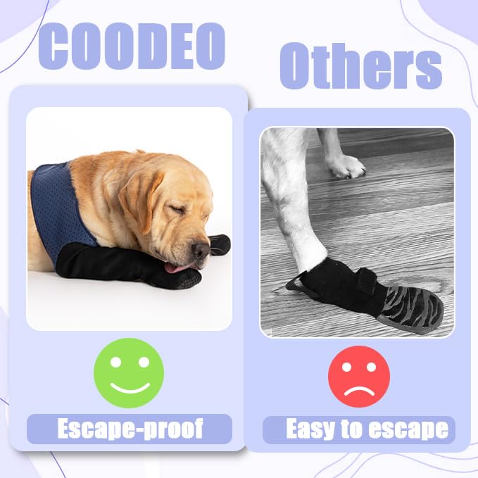 COODEO durable 2.5mm material guards paws during indoor play.
