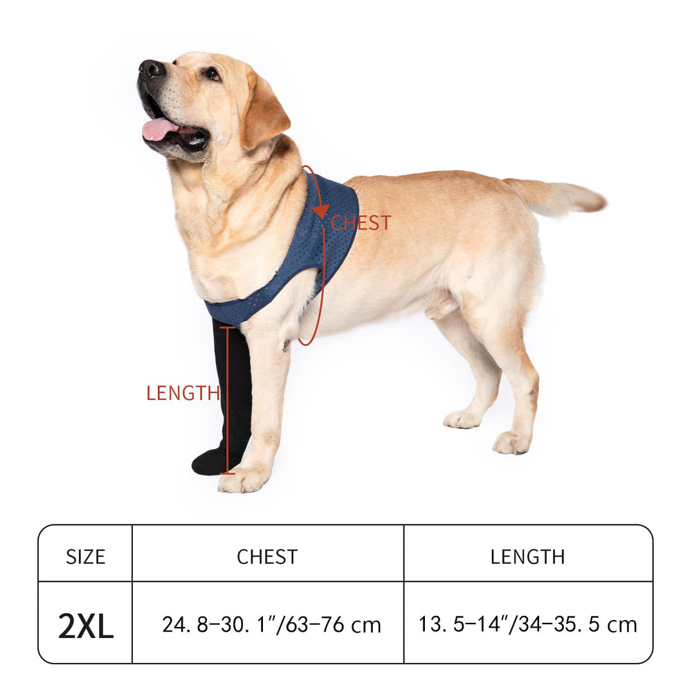Coodeo durable 2.5mm material highlights robust paw protection.
