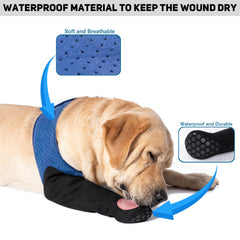 COODEO healing boots keep paws safe during recovery with non-slip soles.