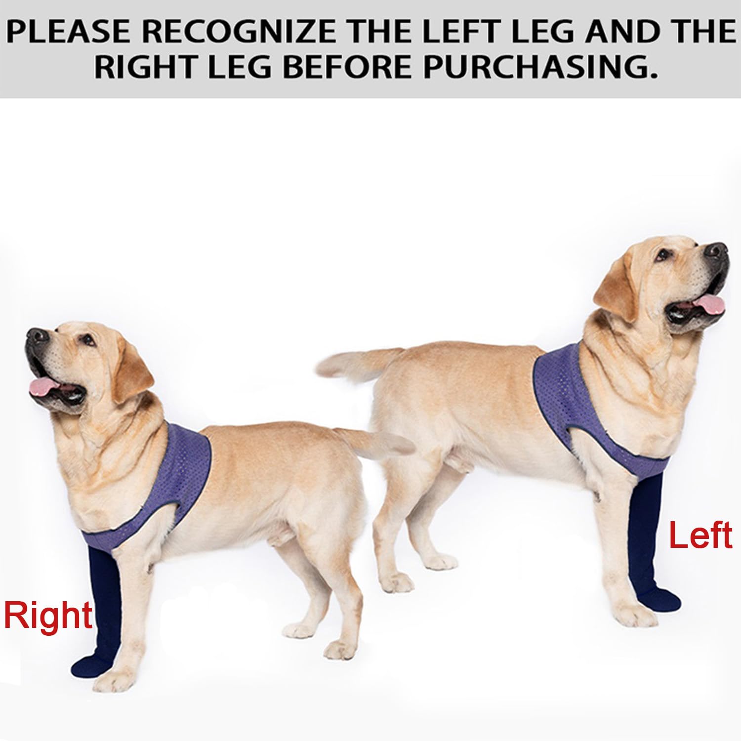 Coodeo purple sleeve shoes support paws during daily activities and recovery.