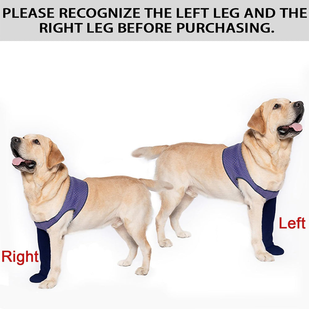 Coodeo purple sleeve shoes support paws during daily activities and recovery.