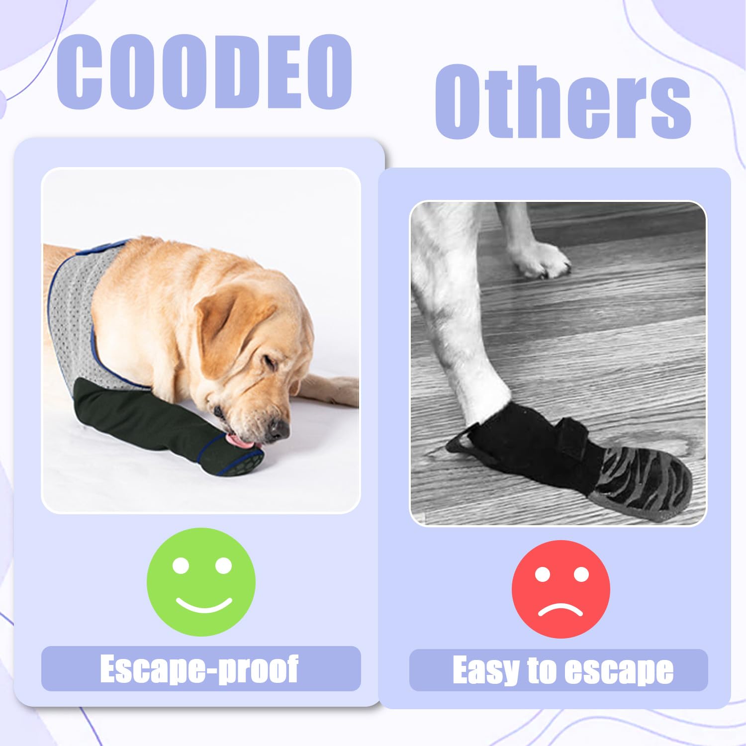 Coodeo replacement policy and support offers post-purchase help