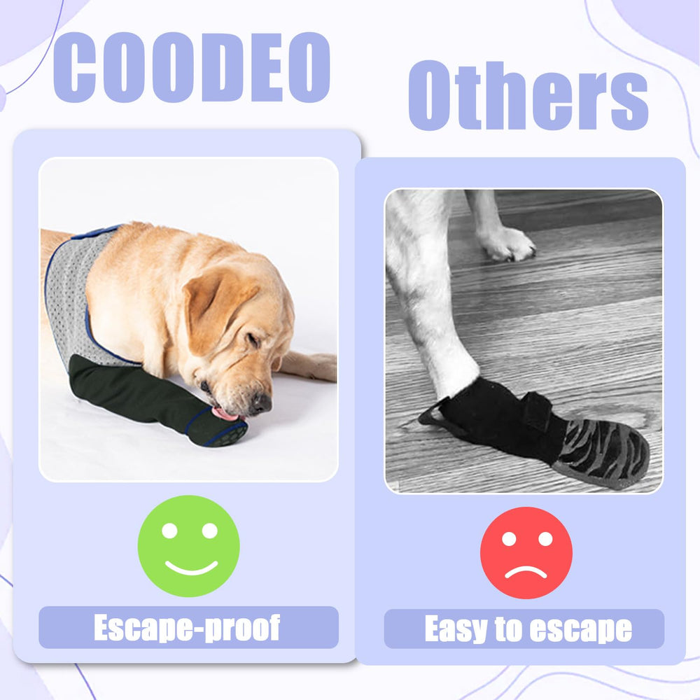 Coodeo replacement policy and support offers post-purchase help