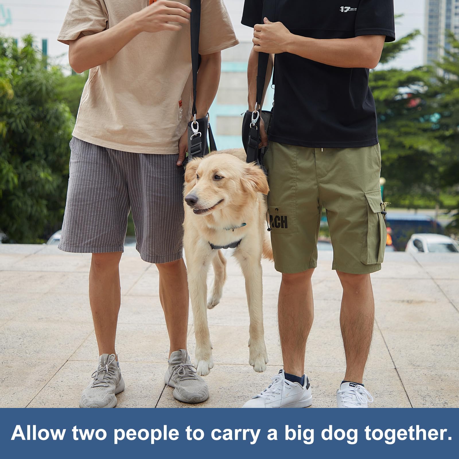 COODEO senior dog arthritis-support harness provides comforting, adjustable lift for mobility.