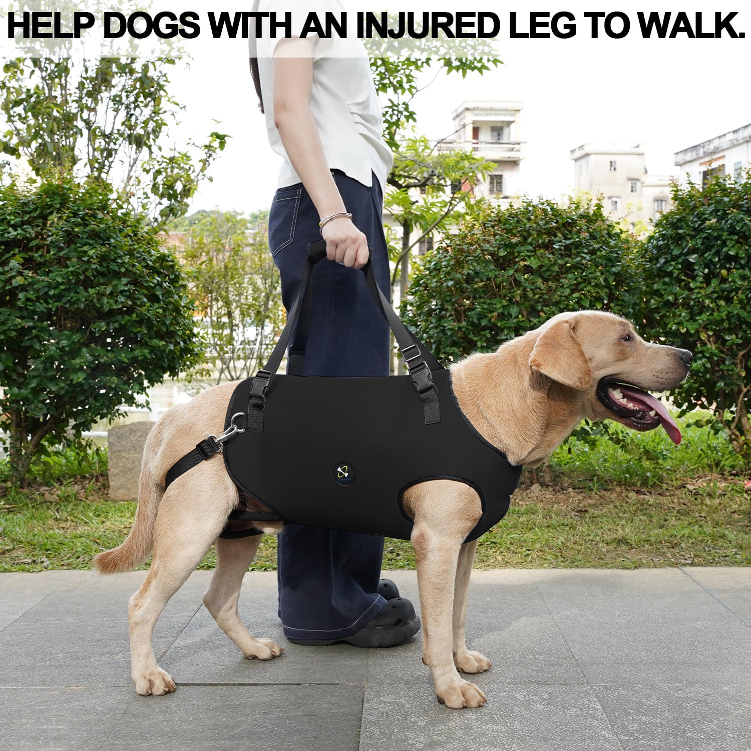 Coodeo washable dog harness is easy to clean after use.