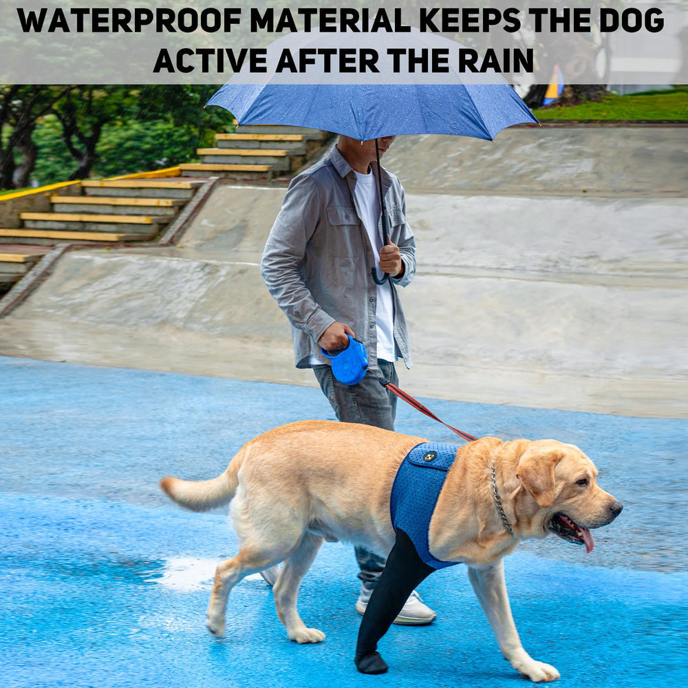 Coodeo waterproof sleeve shoes blue guarding paws during wet days and activities.