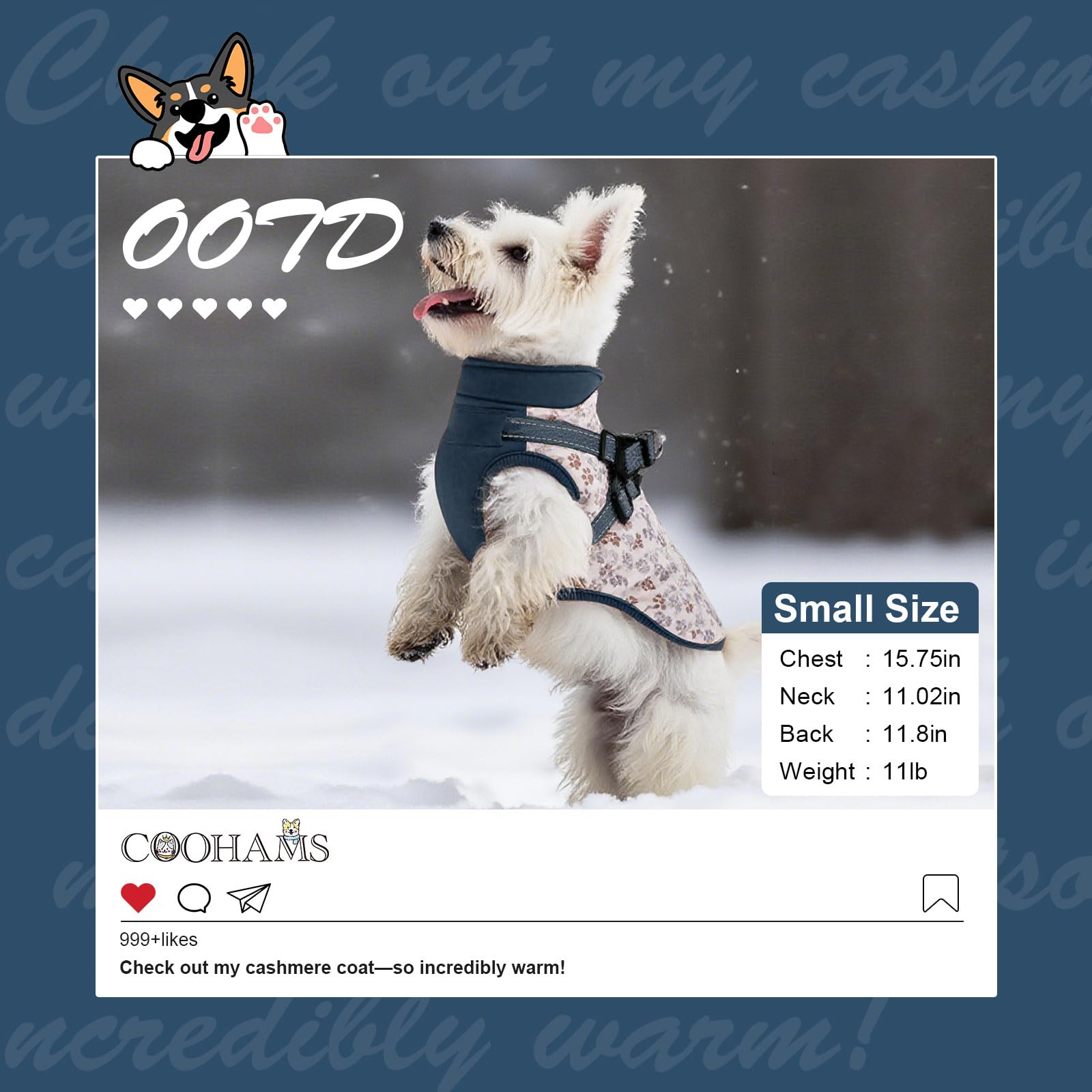 COOHAMS dog winter coat paw-blue back view shows reflective details for safer evening walks.