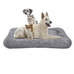 Coohom Deluxe Plush Dog Bed closeup plush texture for warmth and comfort.