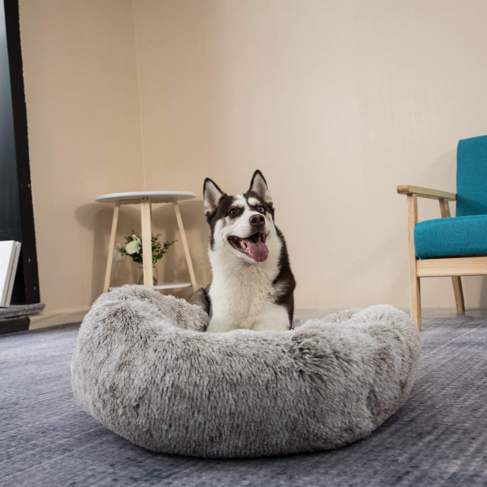 Coohom oval calming donut dog bed gradient colors to suit decor