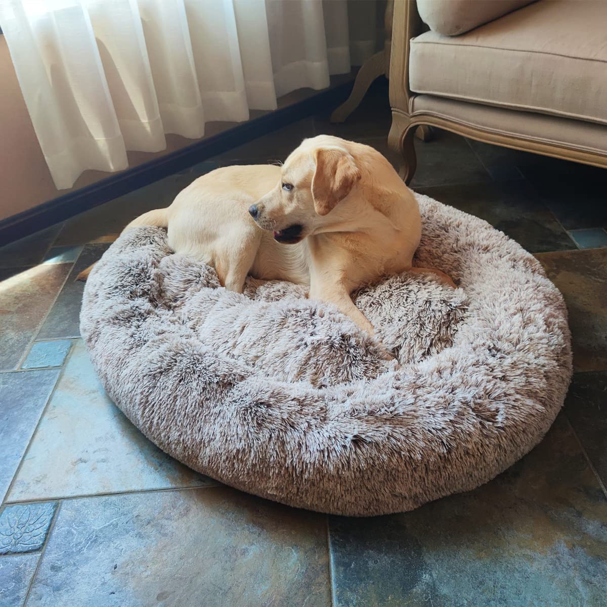 Coohom oval calming donut dog bed space-saving oval shape for compact rooms