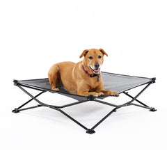 Coolaroo On-The-Go Elevated Dog Bed pops up for quick outdoor comfort.