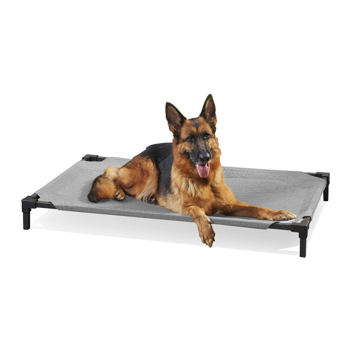 Coolaroo Pro elevated bed frame aids airflow and easy access for dogs.