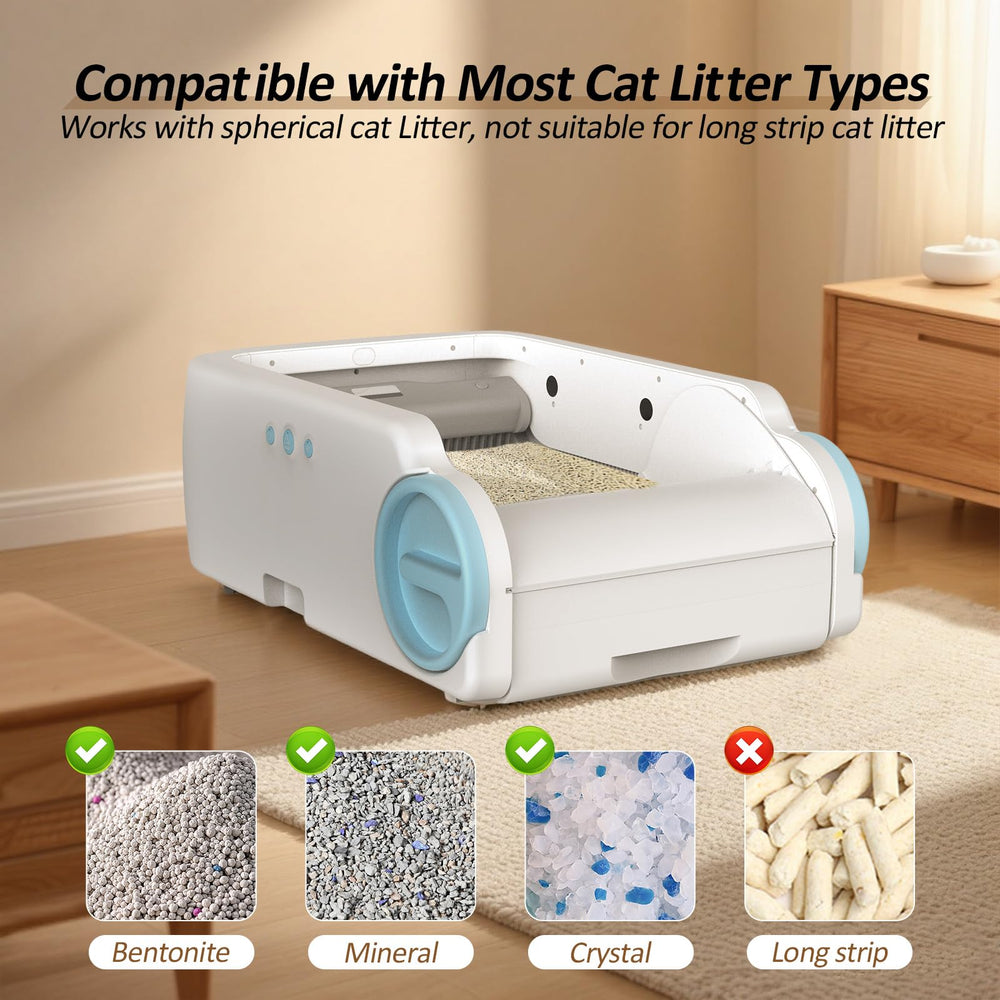 CooLegend large capacity for multiple cats in one box