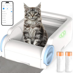 CooLegend open-top litter box showing easy access for cats