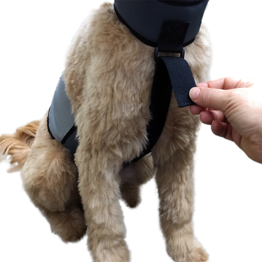 CoolerDog FlexiFreeze ice pack illustrating long-lasting cooling sessions.