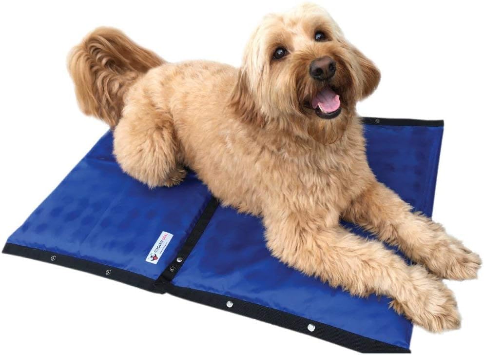 CoolerDog Hydro Cooling Mat 23x18 in-use demonstrates portable cooling for hot days.