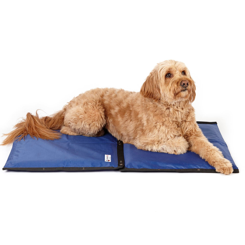 CoolerDog Outdoor Use Hydro Cooling Mat demonstrates rugged performance for park or beach.