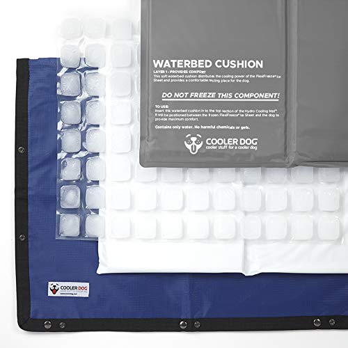 CoolerDog waterbed cushion provides plush support while keeping your dog refreshed