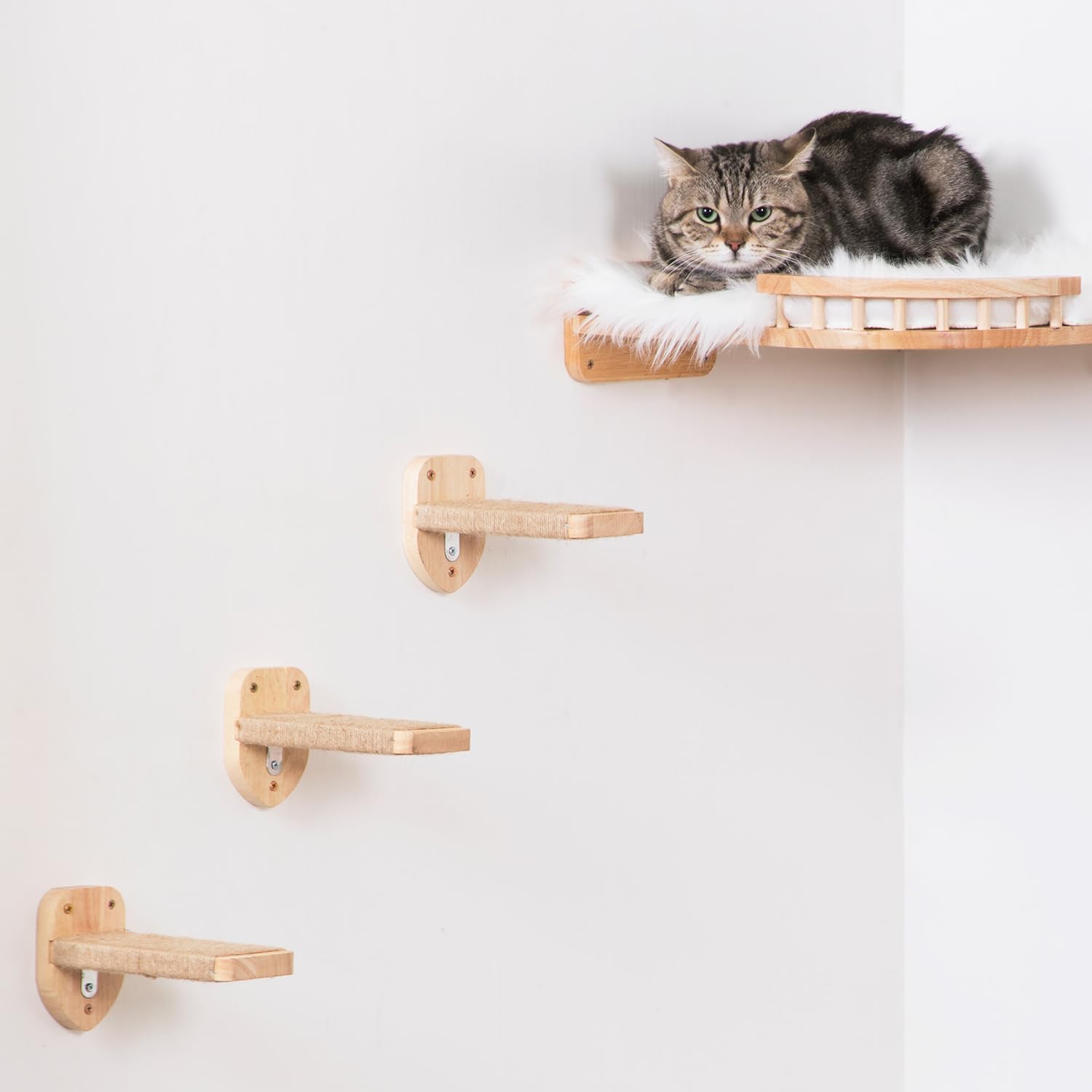 COOLEX cat activity space offers climbing, scratching, and lounging.