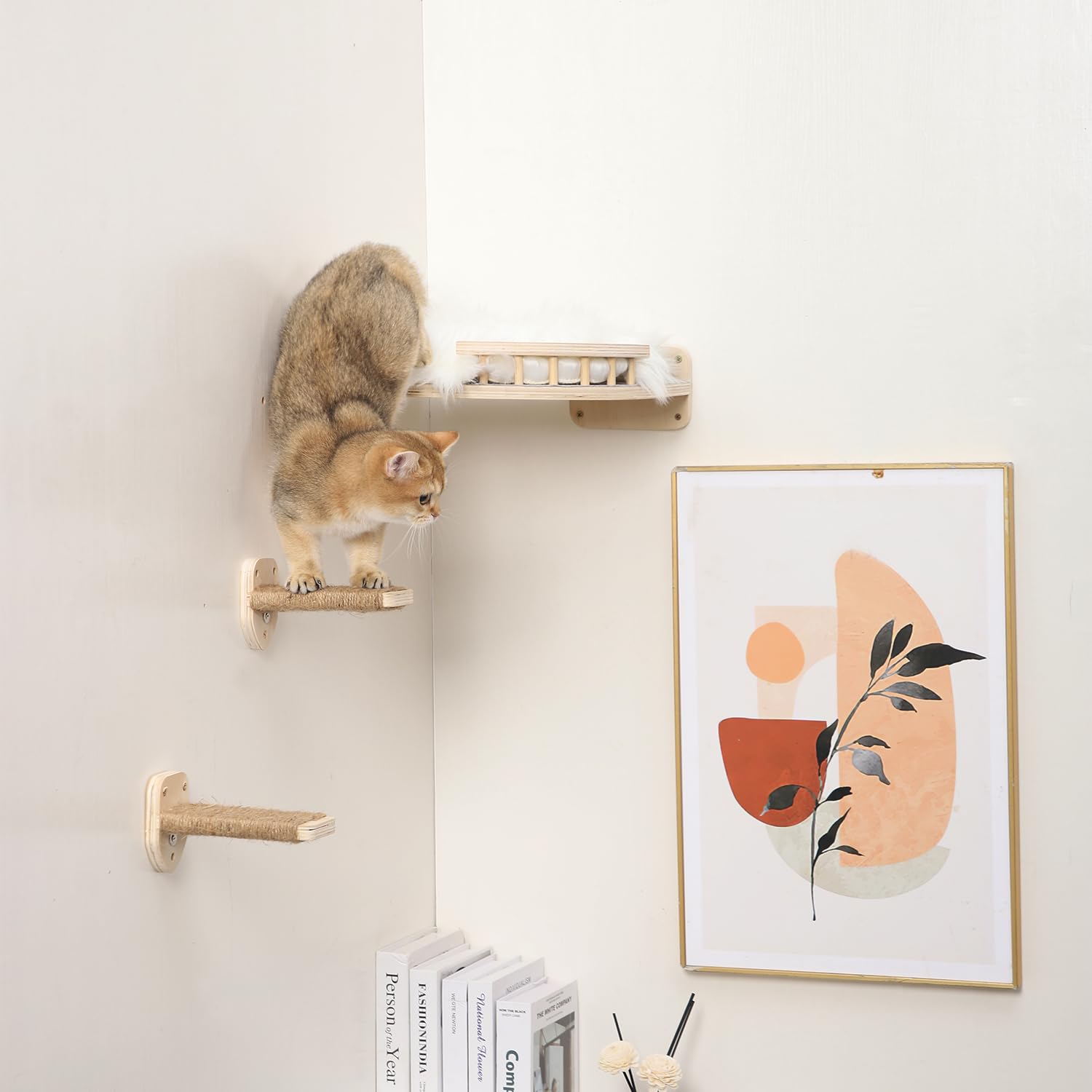 COOLEX all-season cat shelf for year-round enjoyment.