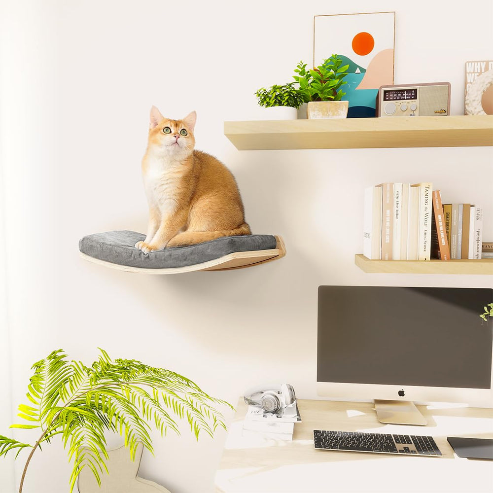 COOLEX curved cat shelf wall-mounted setup showcases sturdy storage and cat observation.