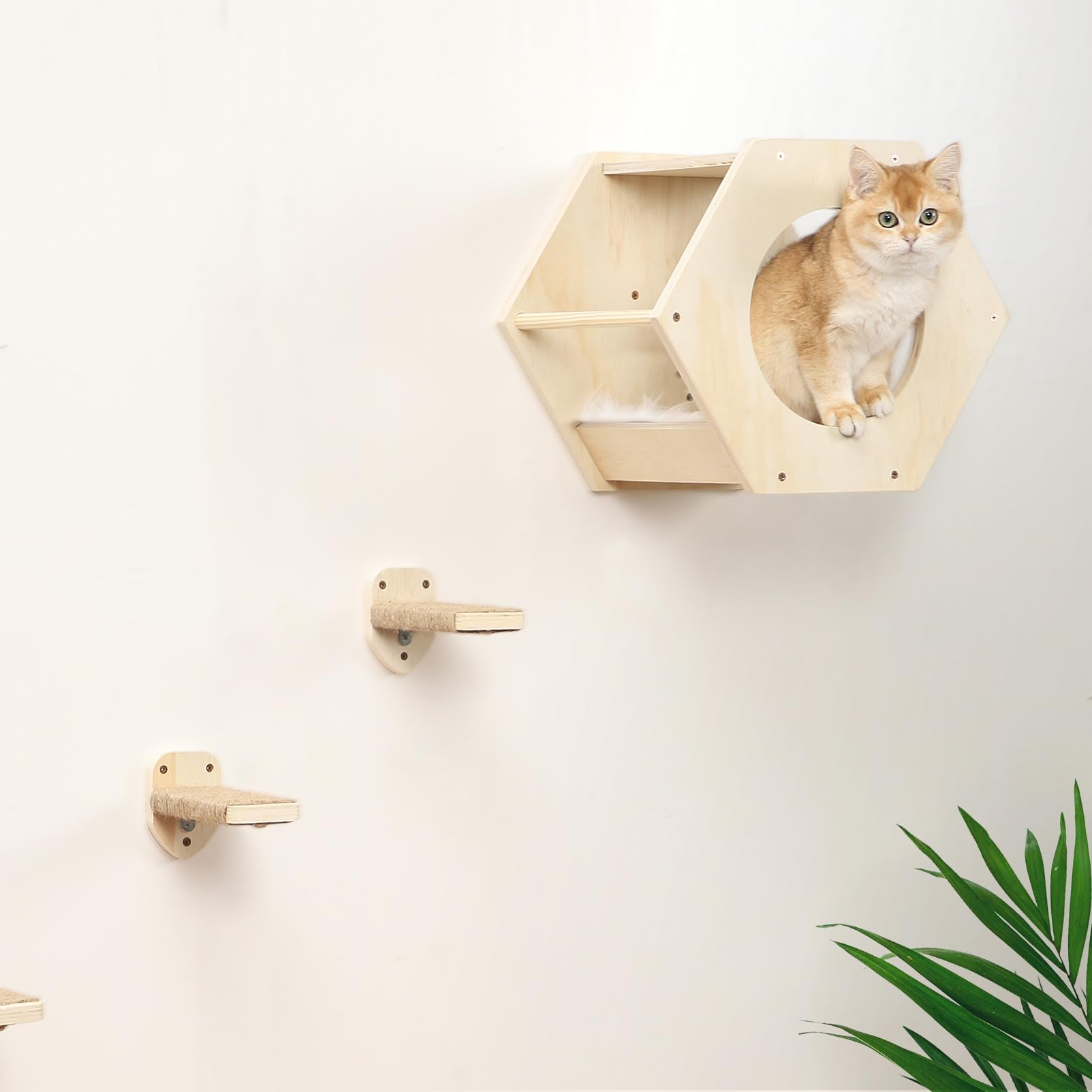 COOLEX KATRIS 3-steps scratcher post provides secure grip and indoor exercise on a wall.