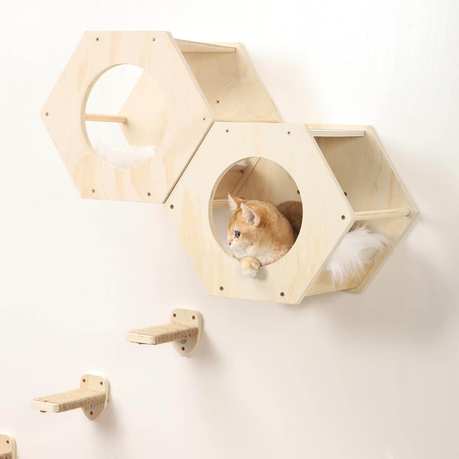 COOLEX KATRIS large base creates a roomy sleep area on the wall.