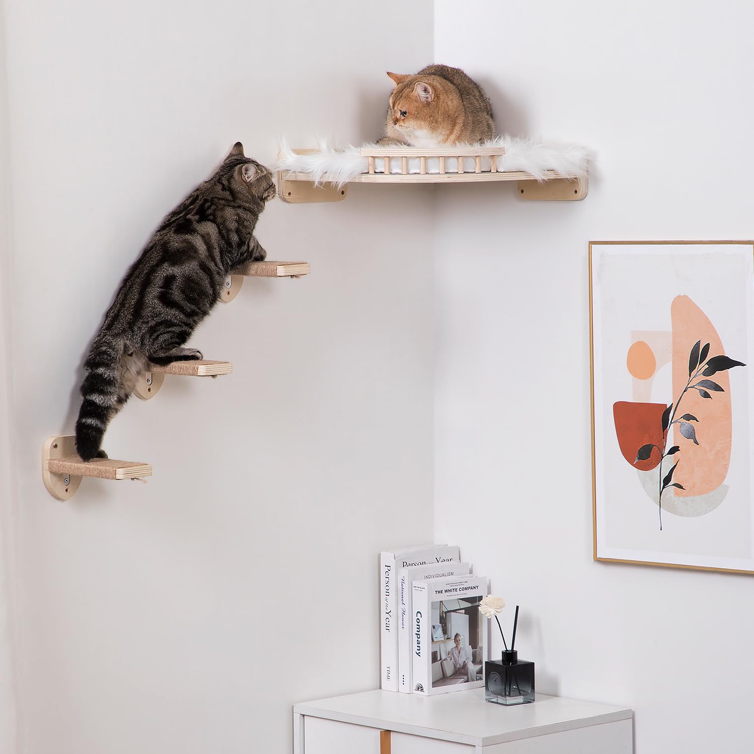 COOLEX Large Cat Shelves brackets secure mount – stable perch for climbing.