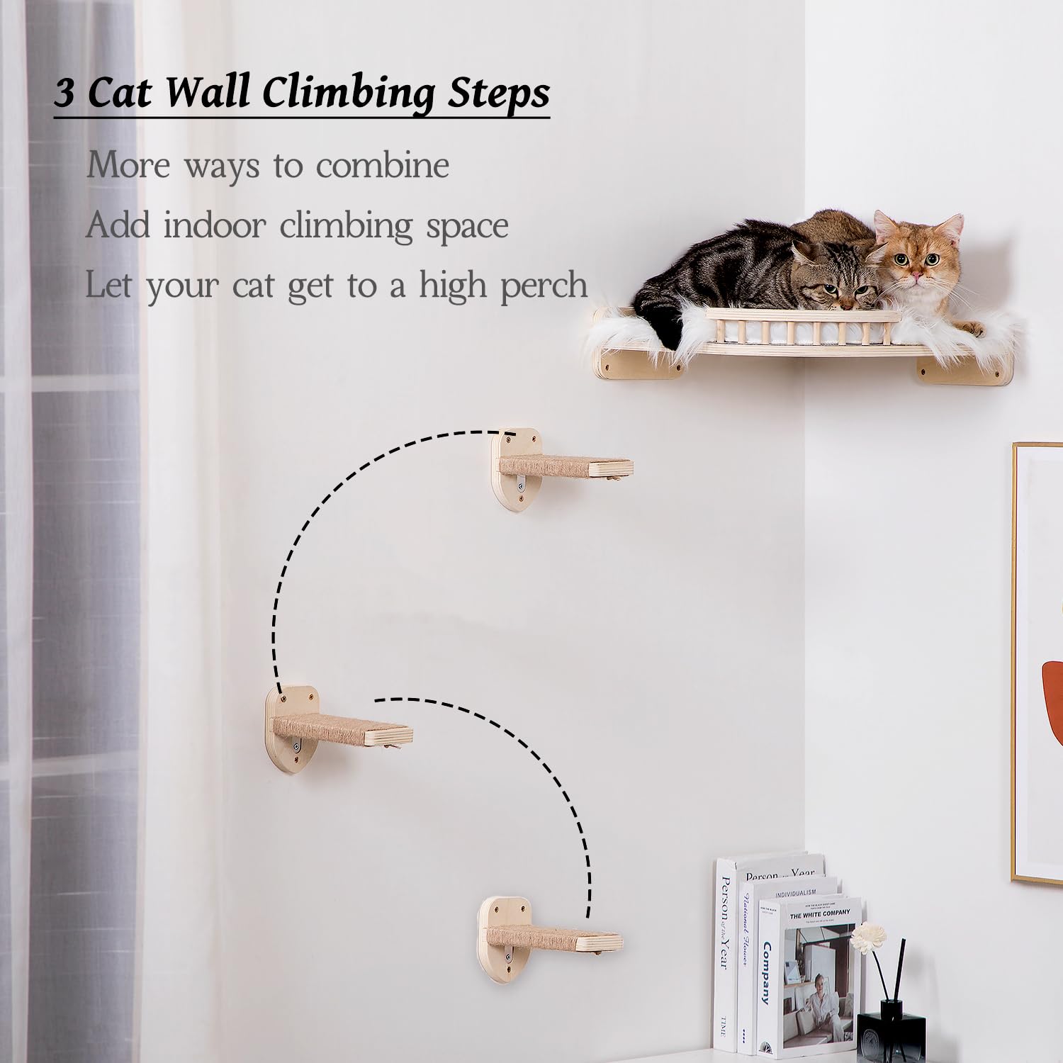 COOLEX window-view setup – ideal near sunlit window for lounging.