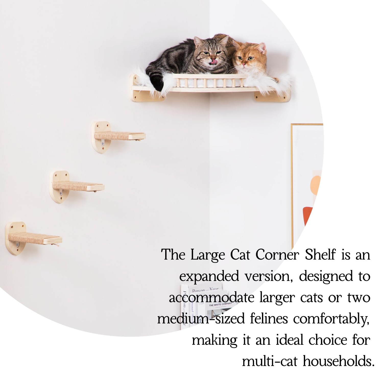 COOLEX Large Cat Shelves wood finish detail – durable craft for stylish interiors.