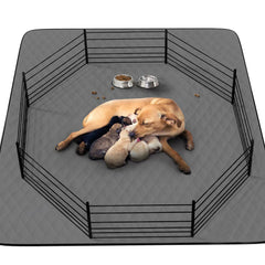 CoolShields washable puppy pad 48x65 inches in use inside a crate for potty training