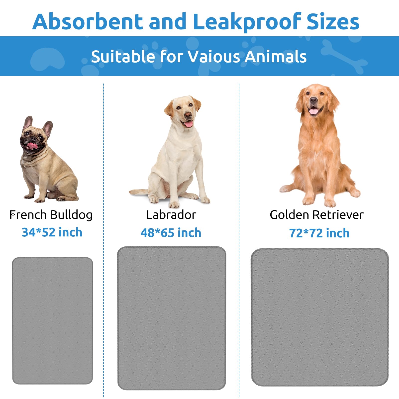 CoolShields pad cushions paws during training and travel.