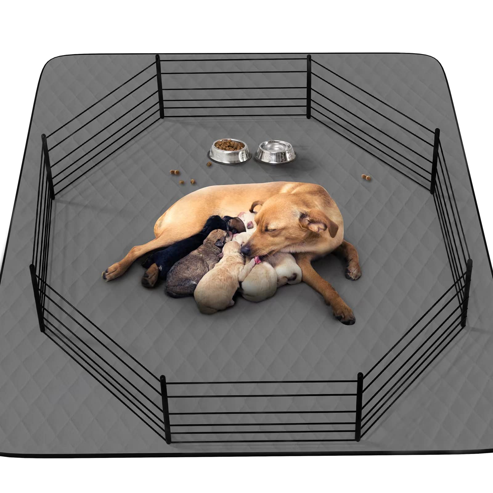 CoolShields washable puppy pad with waterproof top layer keeps training areas dry.