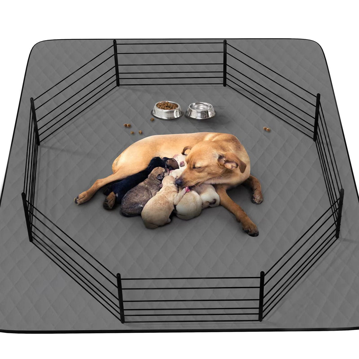 CoolShields washable puppy pad with waterproof top layer keeps training areas dry.